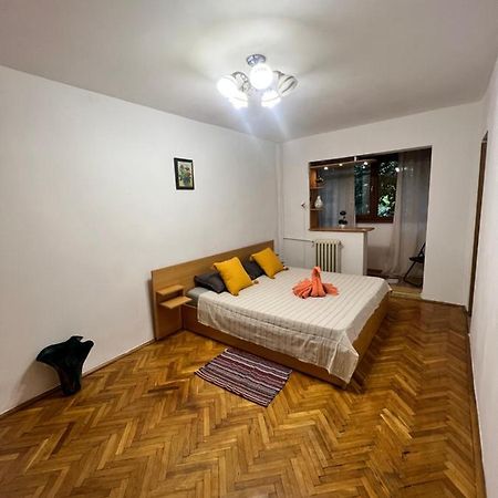 Miha Modern And Central Apartament Malul Muresului Arad Exteriör bild