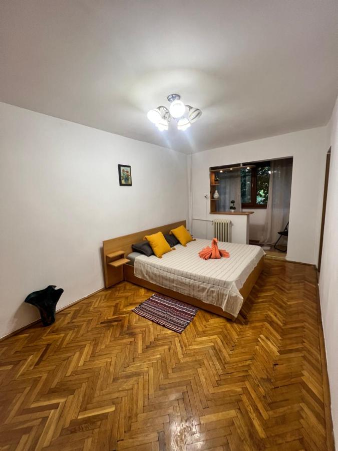Miha Modern And Central Apartament Malul Muresului Arad Exteriör bild