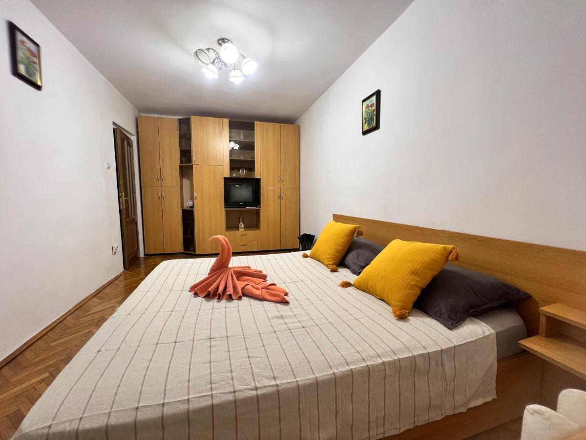 Miha Modern And Central Apartament Malul Muresului Arad Exteriör bild