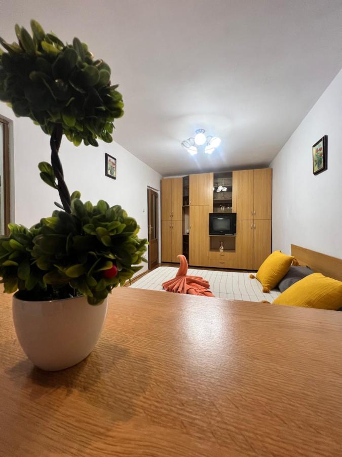 Miha Modern And Central Apartament Malul Muresului Arad Exteriör bild