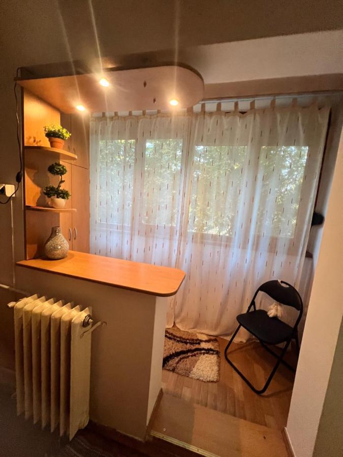 Miha Modern And Central Apartament Malul Muresului Arad Exteriör bild