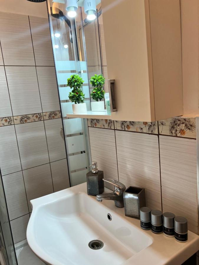 Miha Modern And Central Apartament Malul Muresului Arad Exteriör bild